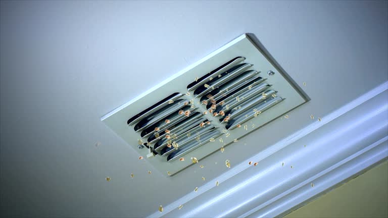 Best Residential Air Duct Cleaning  in Walled Lake, MI